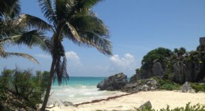 Beach with palm tree in Mexico