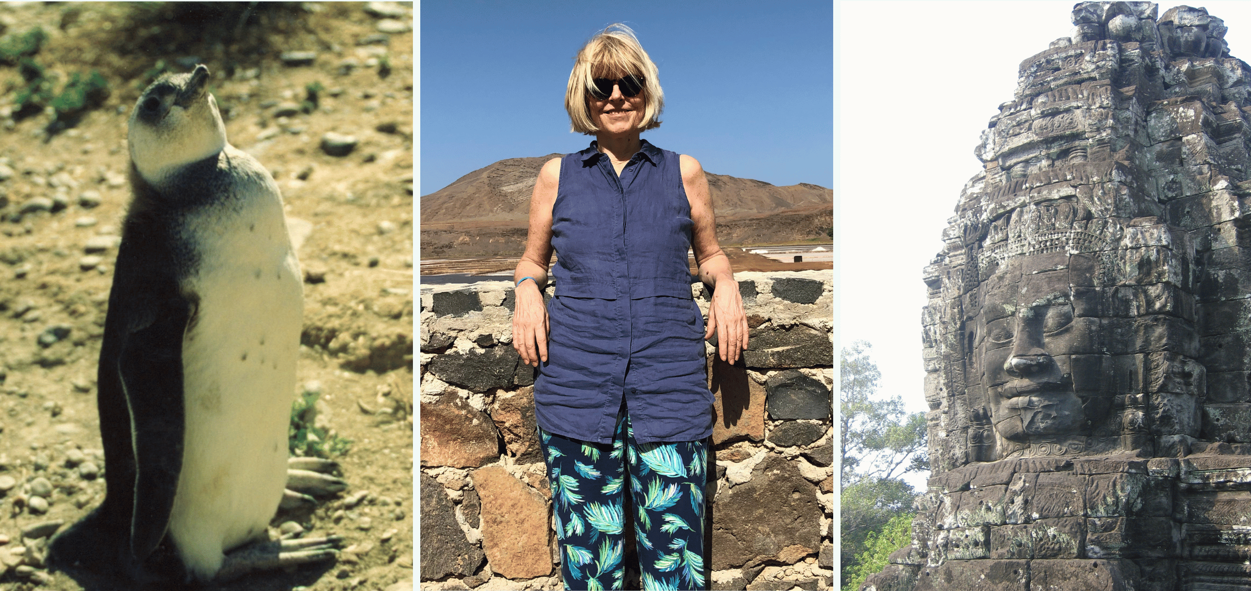 Copy of Restless Retiree My Journey pics 1200 x 500 px 2560 x 1210 px